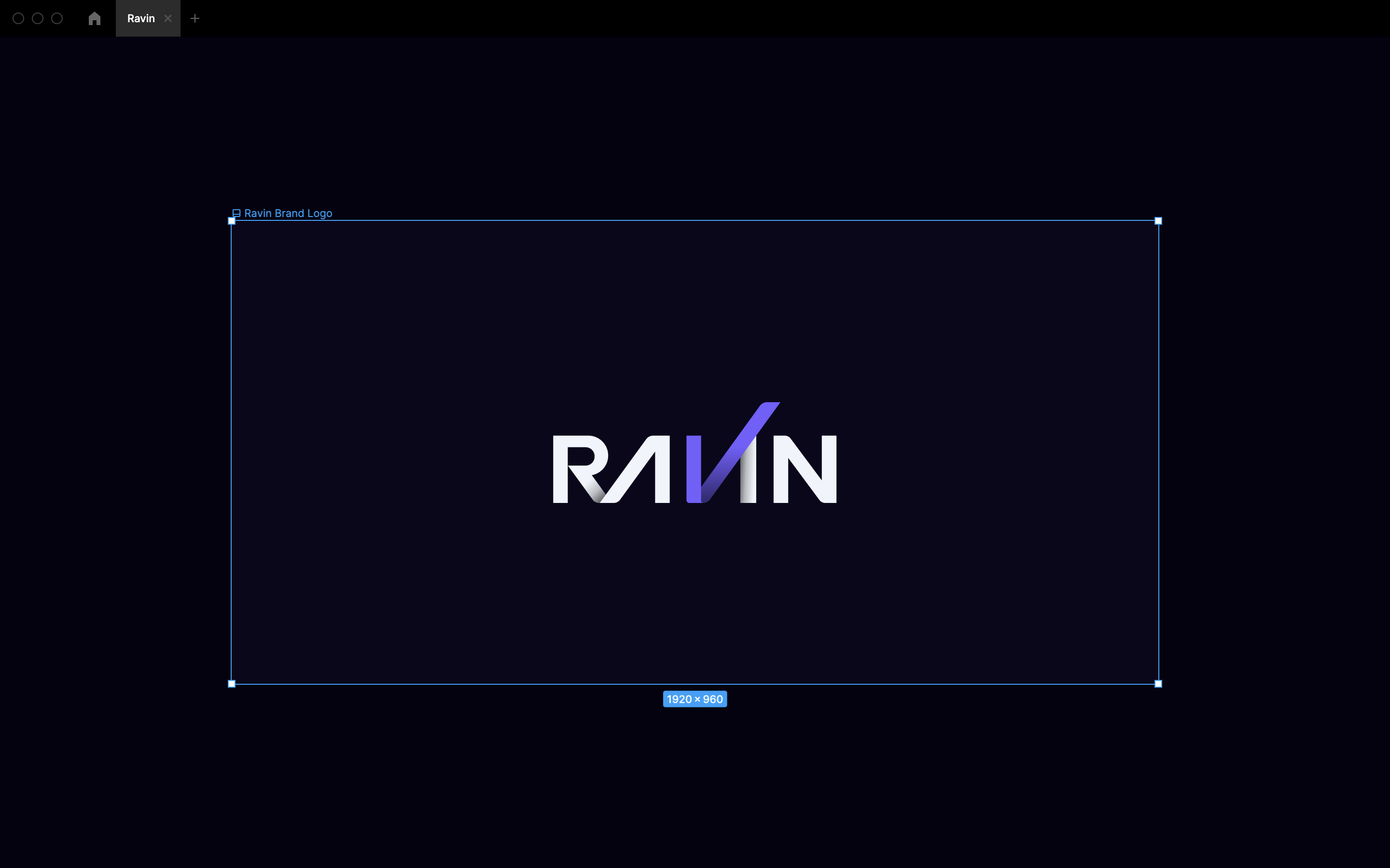 Ravin company logo