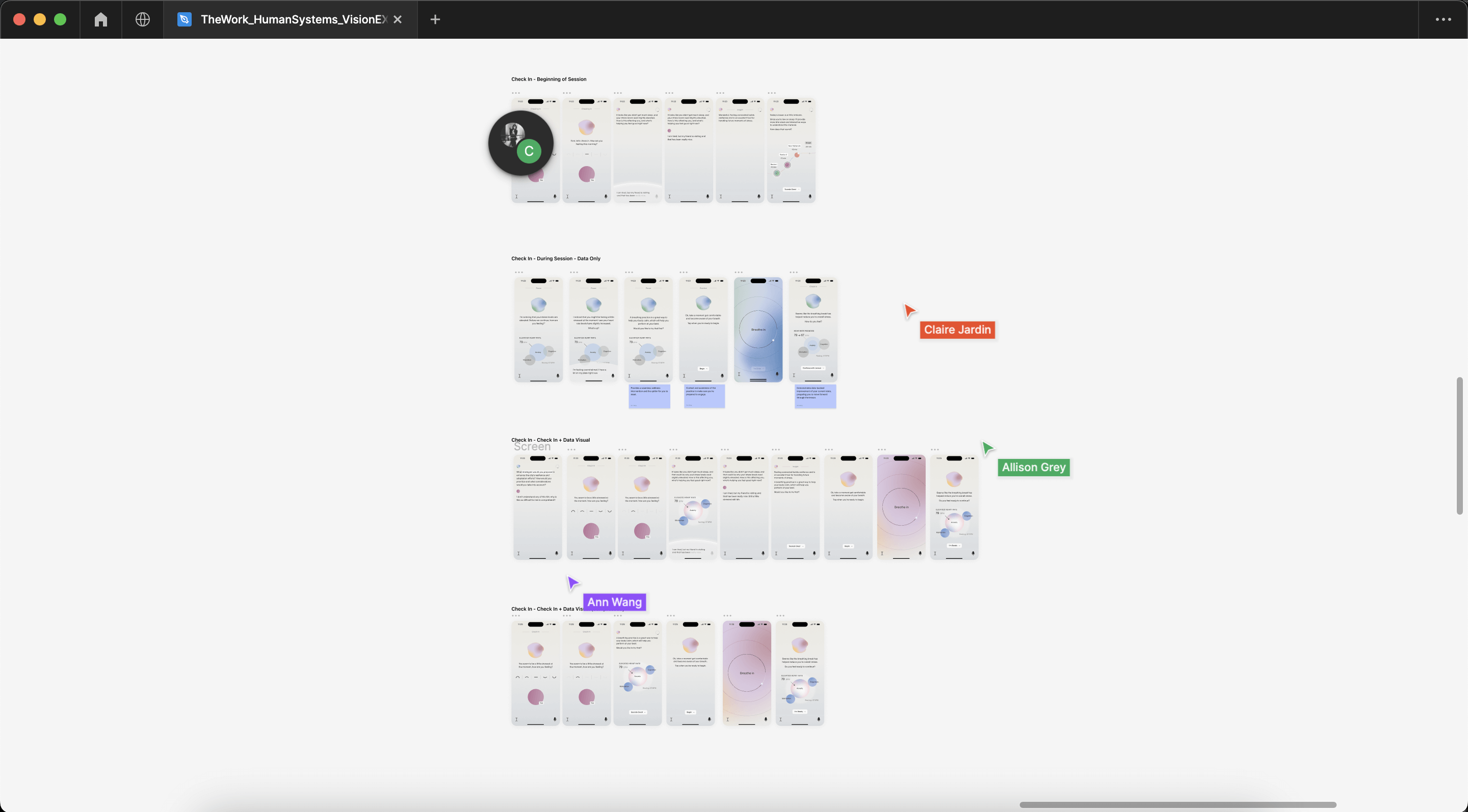 Refining our vision 4 tons of screens in Figma