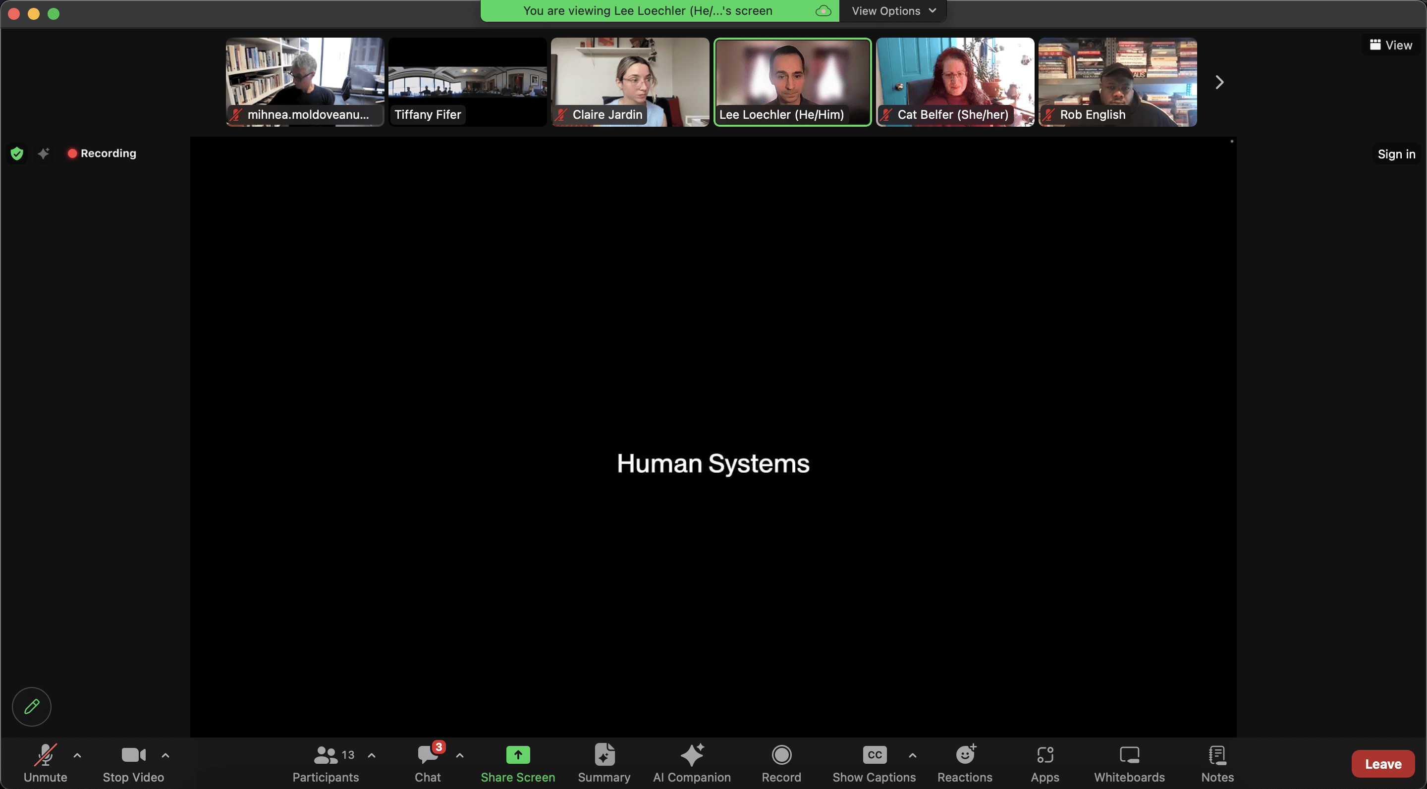 Human Systems initial vision presentation in San Diego via Zoom 2